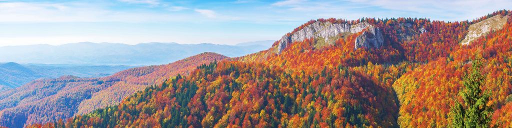 Paysage de montagne des Carpates