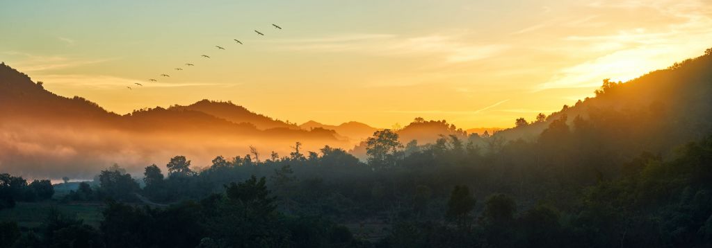 Collines brumeuses