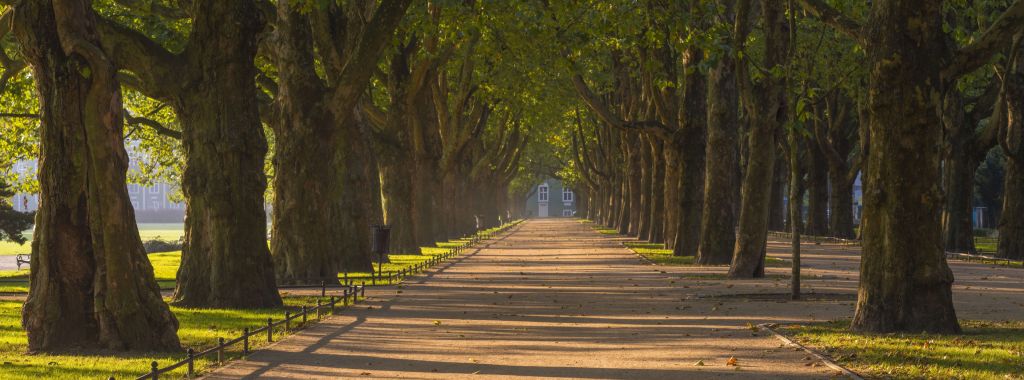 Le parc en automne