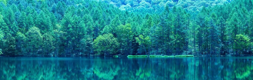 Lac dans une forêt verte