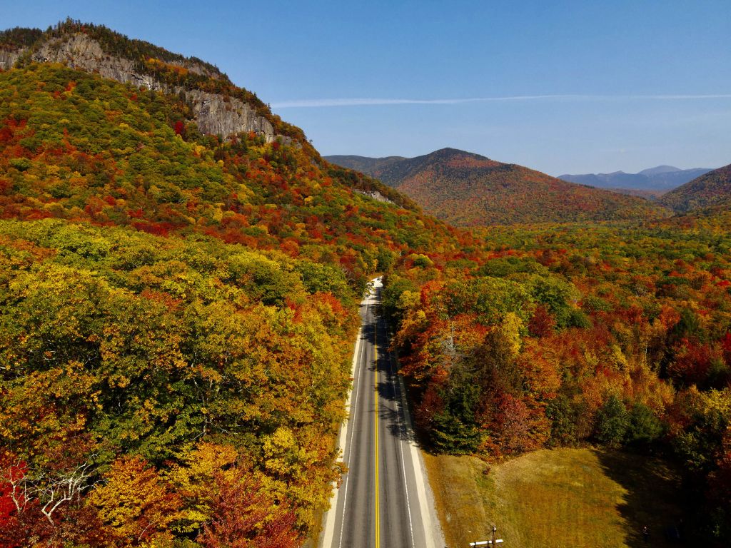 Route à travers un paysage d'automne