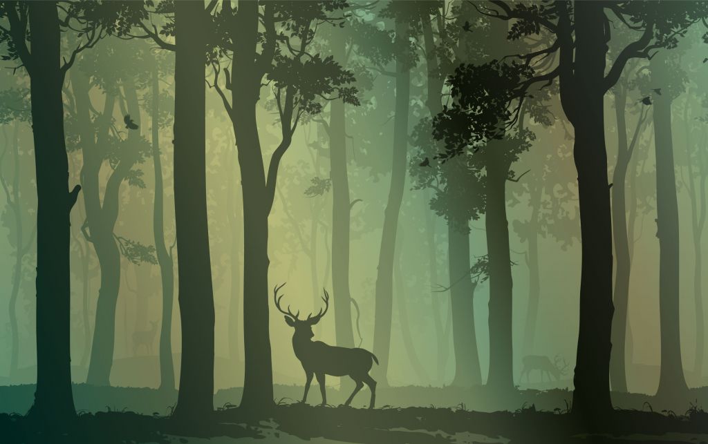 Cerf dans la forêt