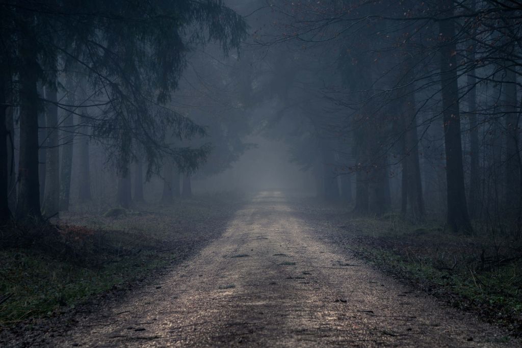 Route brumeuse