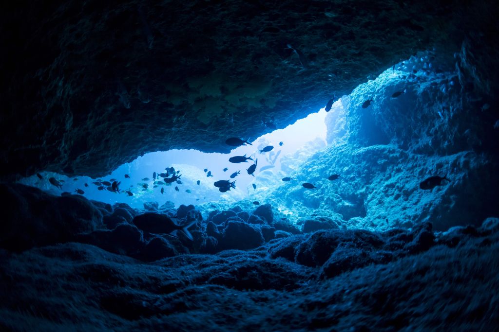 Grotte étroite avec des poissons