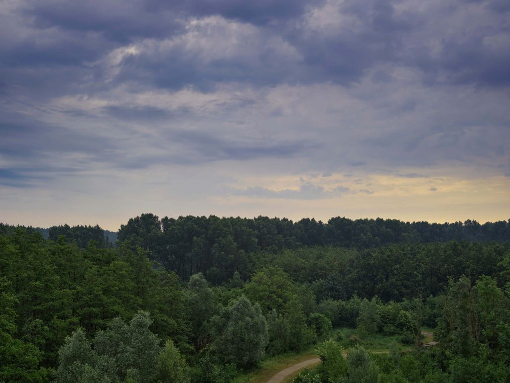 Des nuages menaçants au-dessus des bois