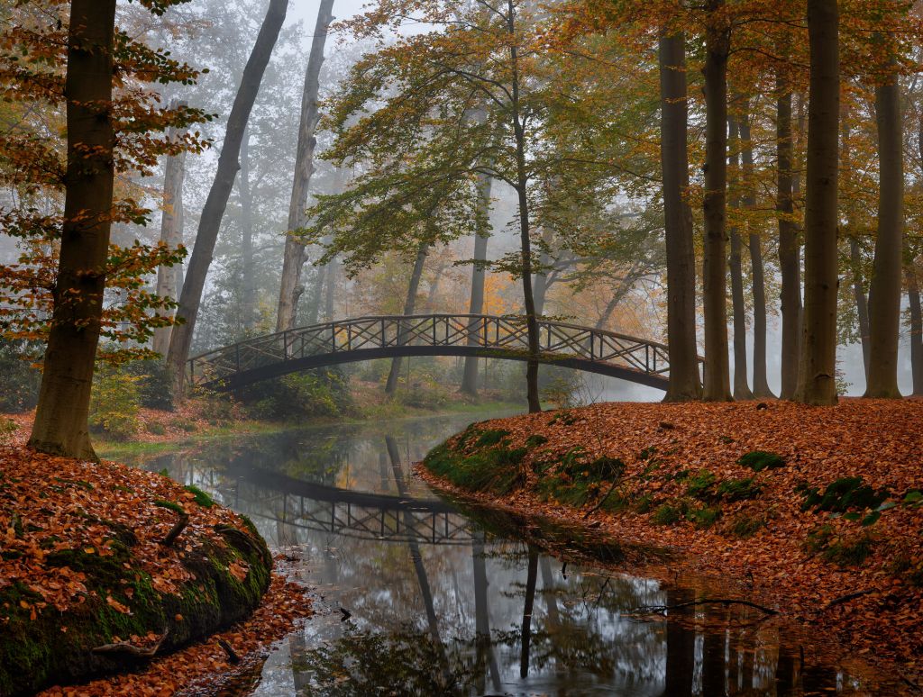 Pont dans la forêt d'automne