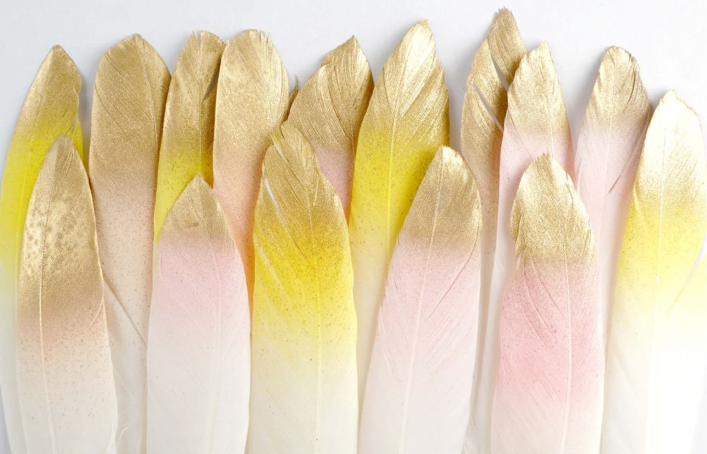 Plumes d'or