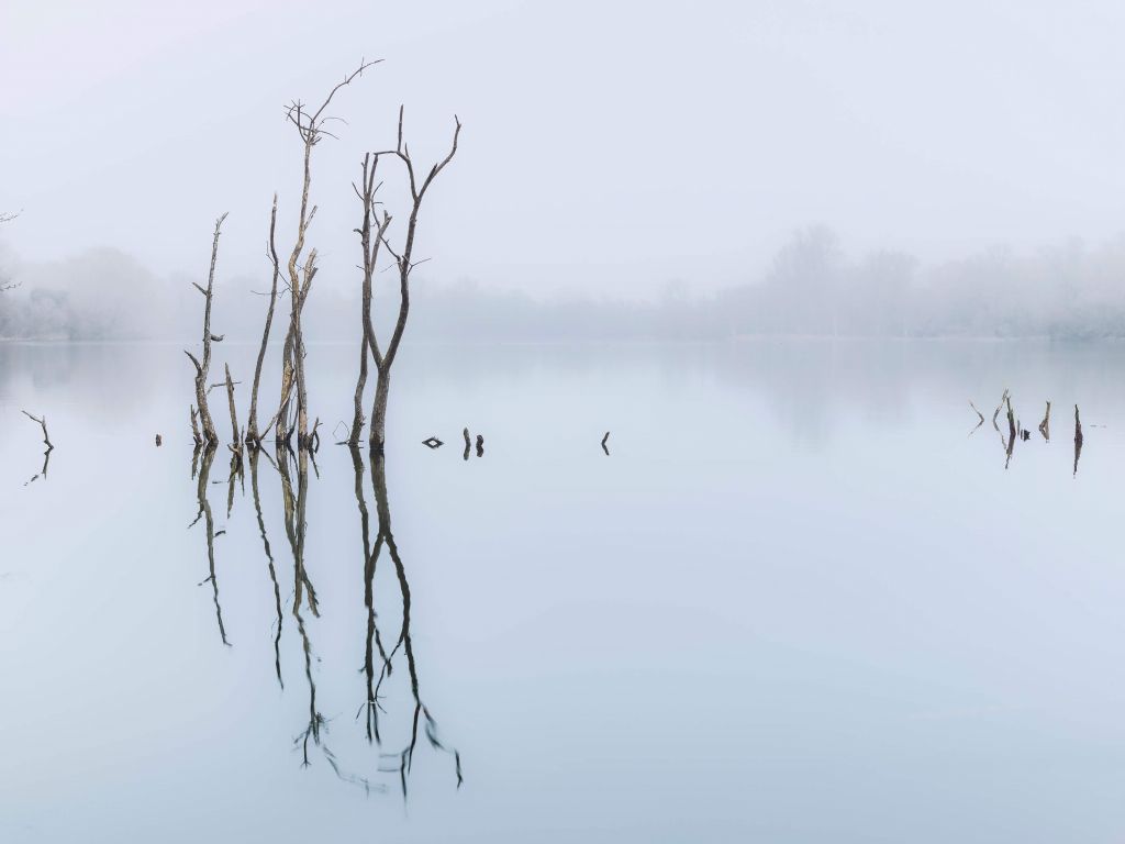 Lac désert