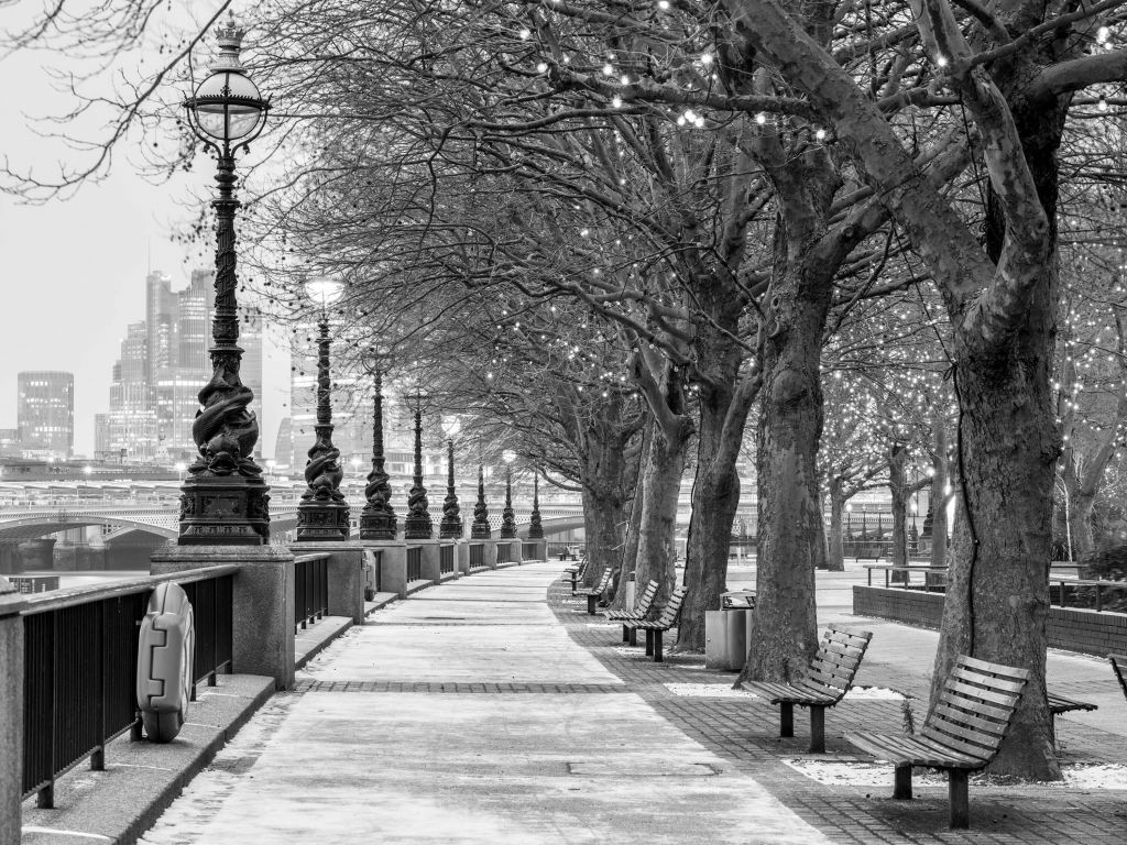 Parc à Londres