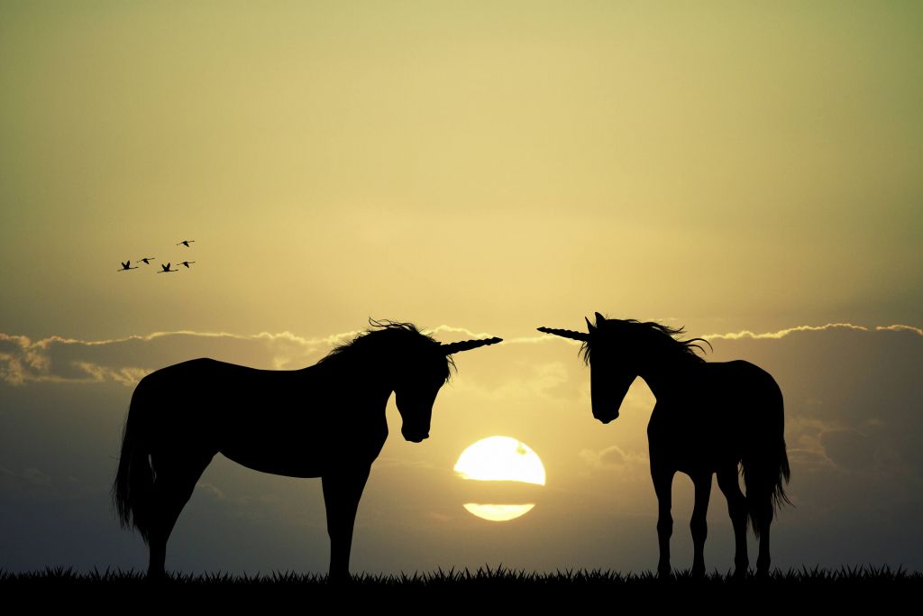 Licornes au coucher du soleil