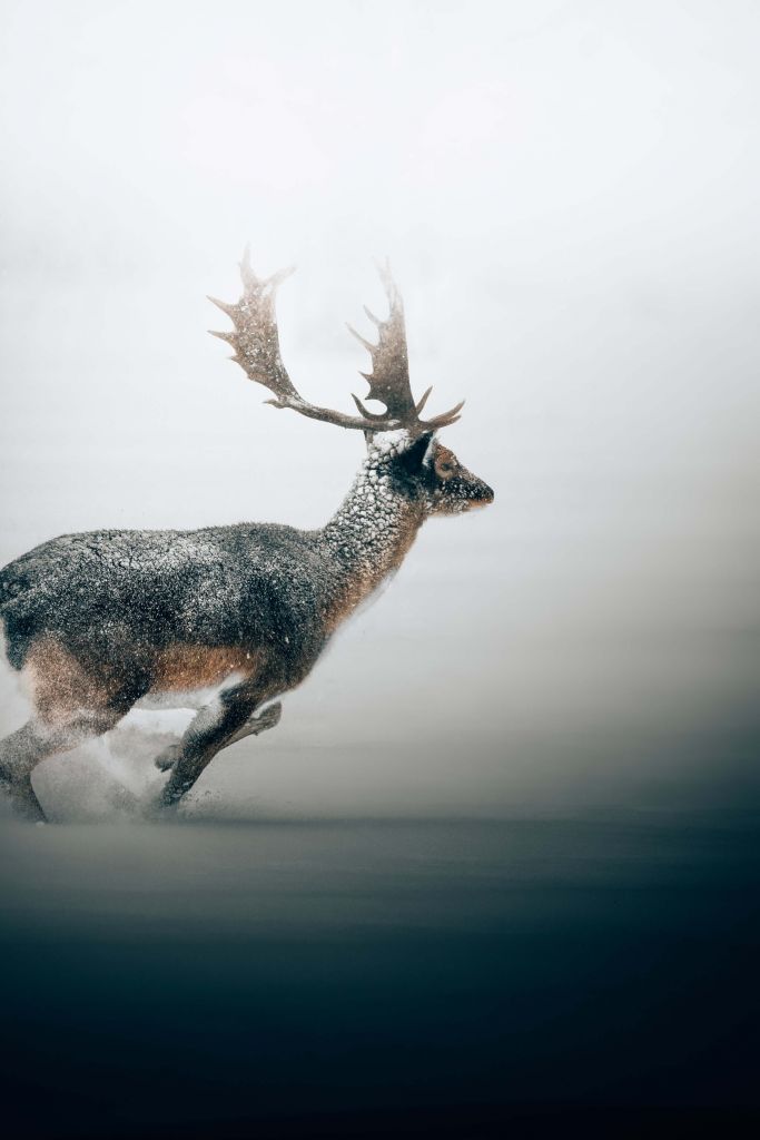 Les plaisirs de l'hiver