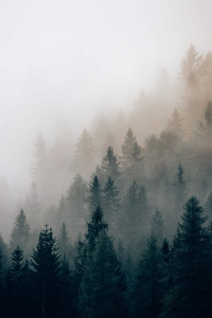 Cortina d'Ampezzo pendant le brouillard