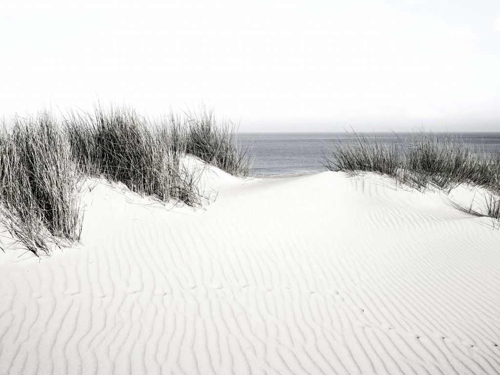 Passage de la dune à la plage noir et blanc