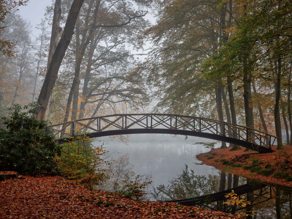 Petit pont entre les arbres