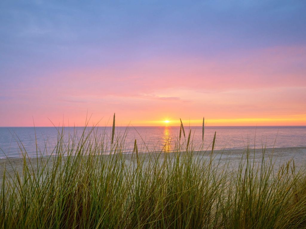 Lever de soleil la côte