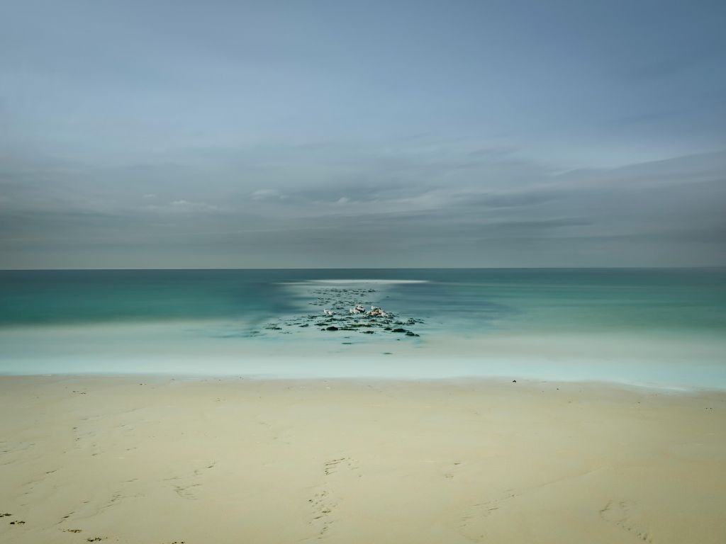 Mer calme avec mouettes