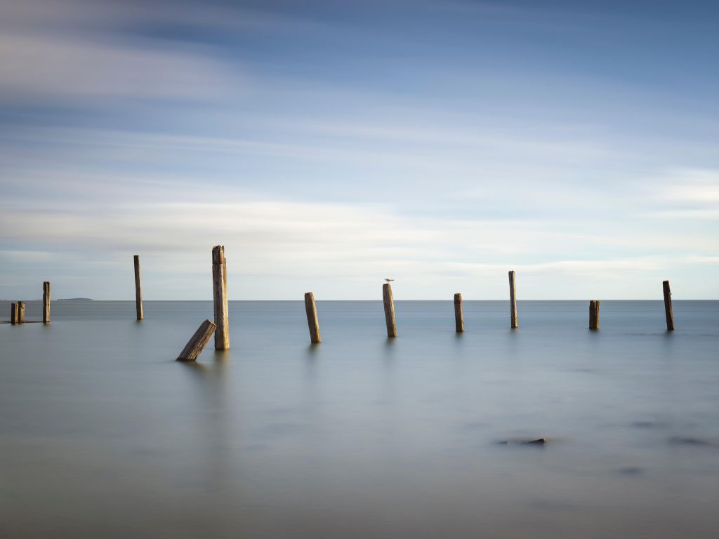 Vieux poteaux de bois dans la mer