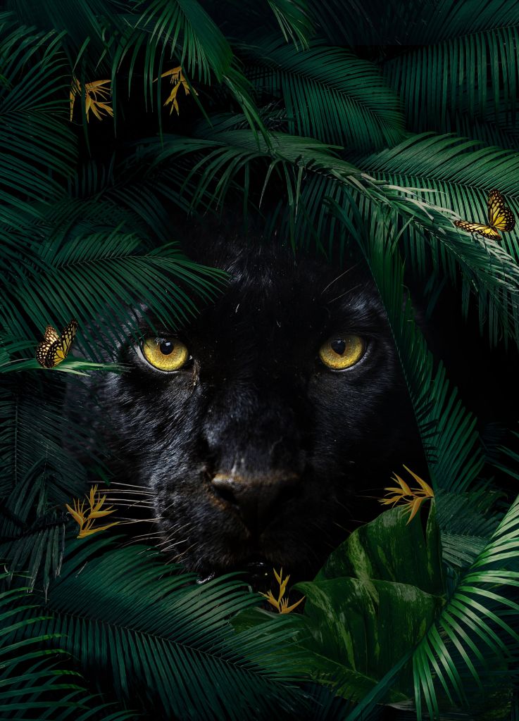 Jungle Panther Portrait