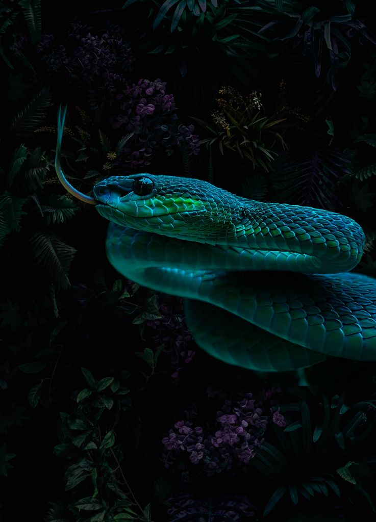 Jungle Snake Portrait