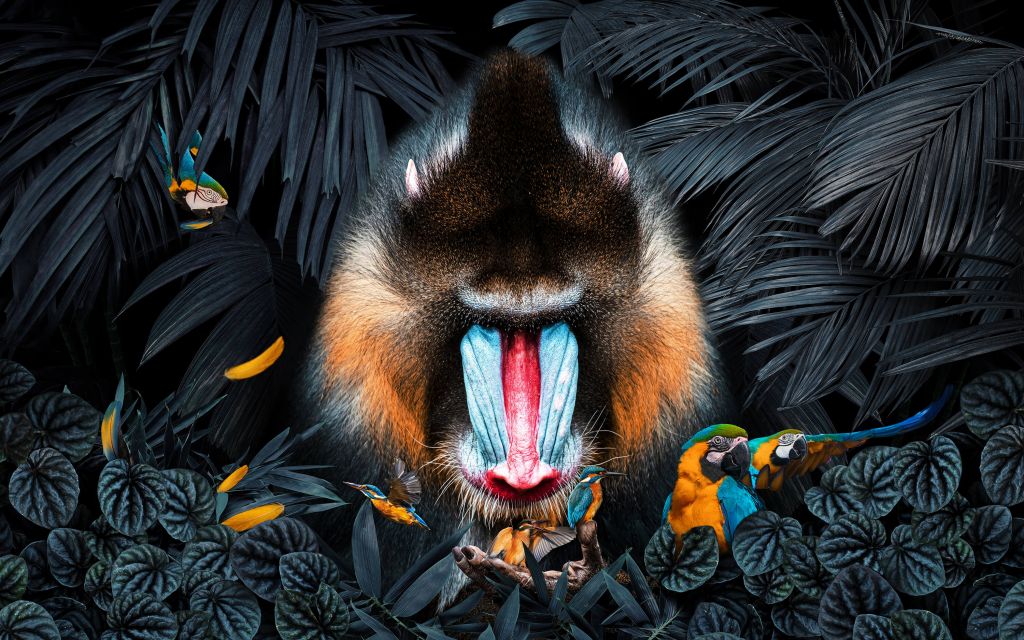 Mandrill