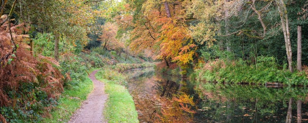 Chemin le long du canal