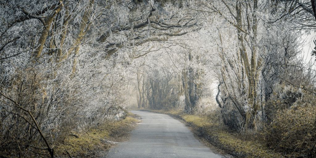 Route gelée à travers la forêt