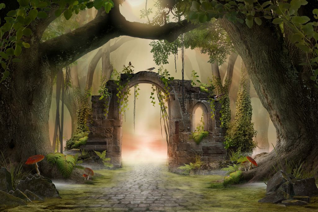 Forêt de conte de fées abandonnée