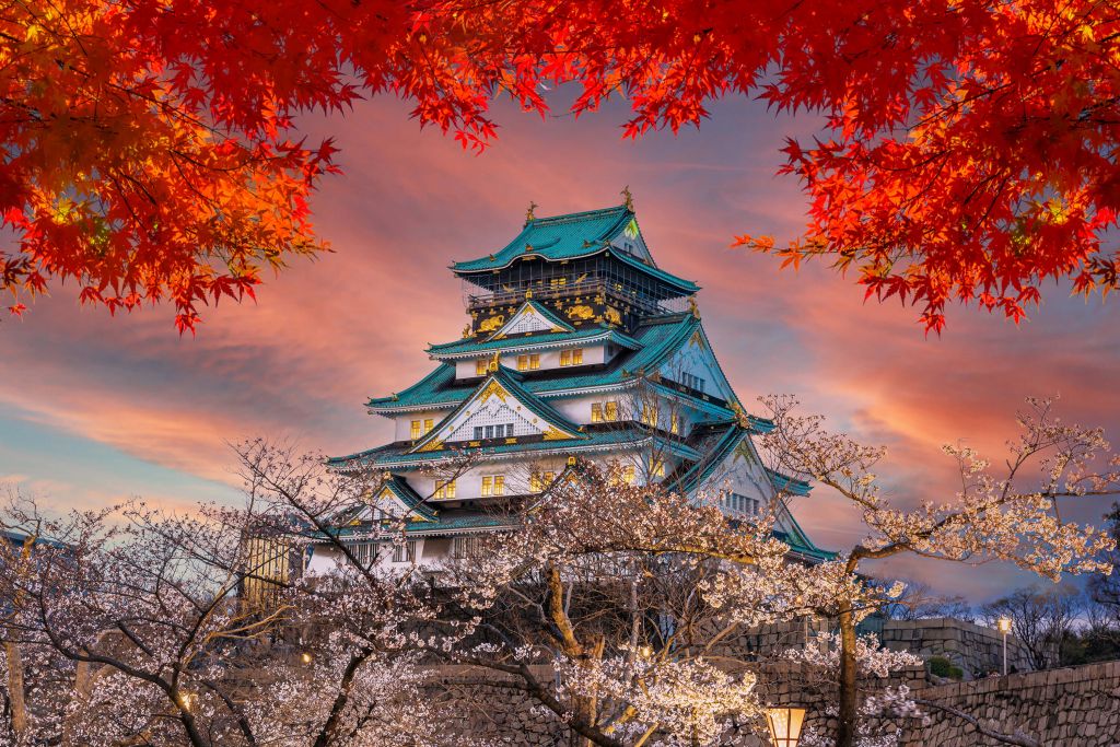 Le château d'Osaka à travers les arbres