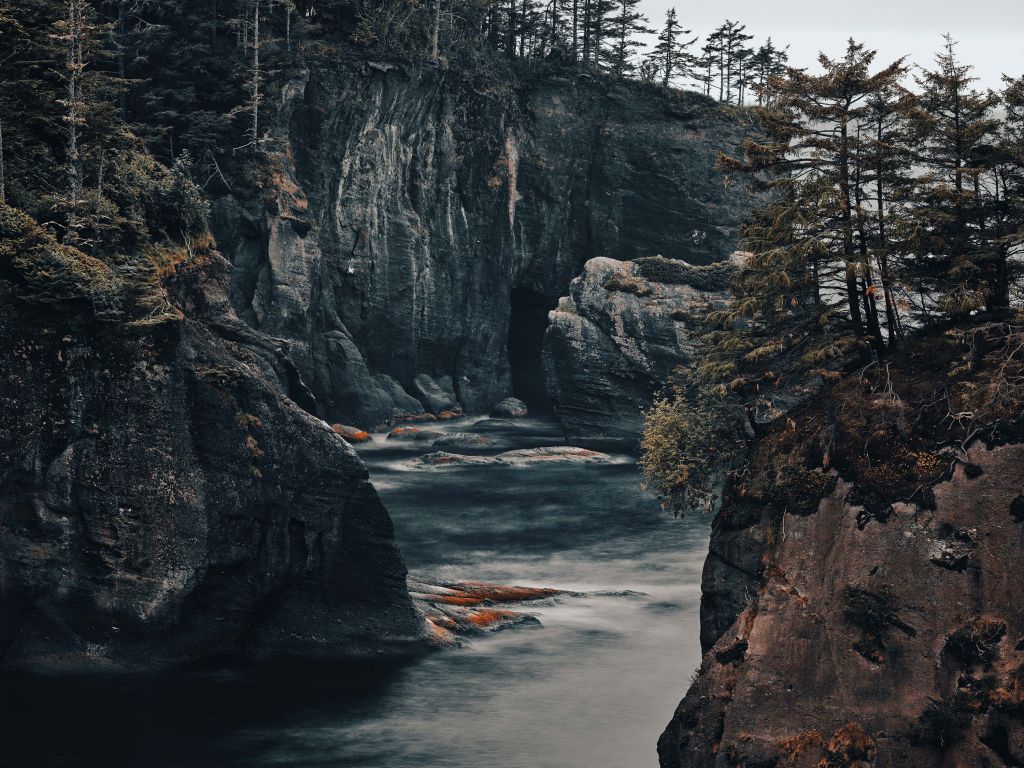 Une nature rude sur la côte