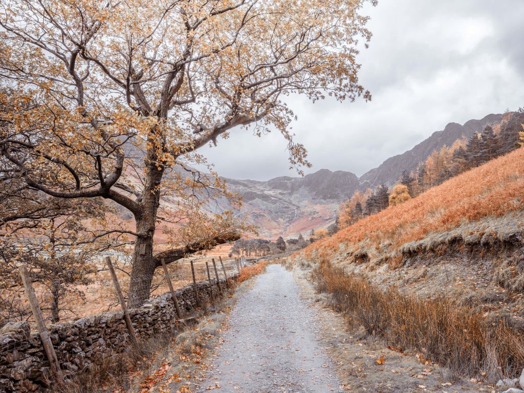 Chemin entre les montagnes