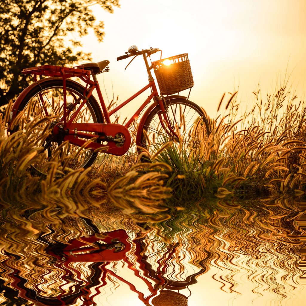 Vélo coucher du soleil