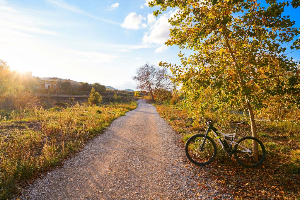 Vélo dans un parc