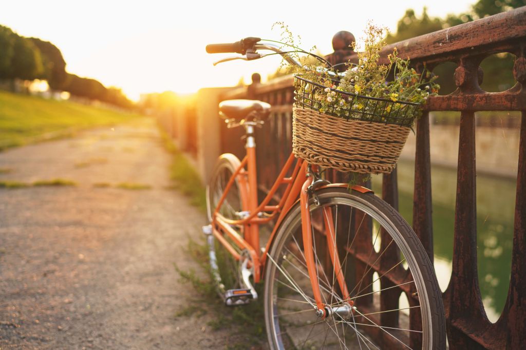 Vélo rouge avec panier