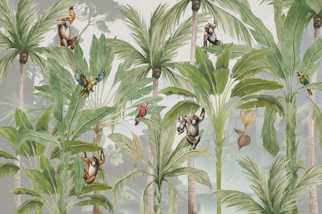 Jungle avec singes et perroquets en couleur