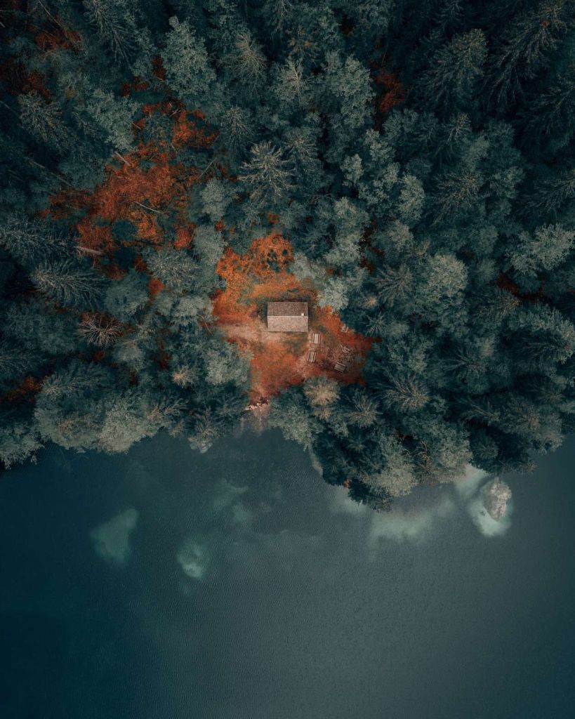 Cabane au milieu de la forêt