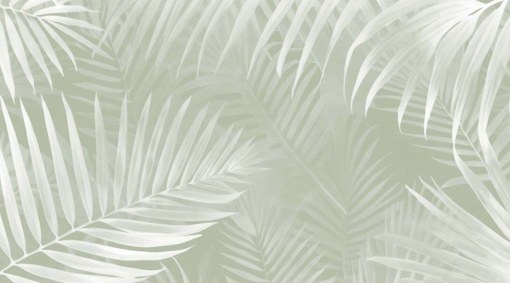 Feuilles de palmier brumeuses - vertes