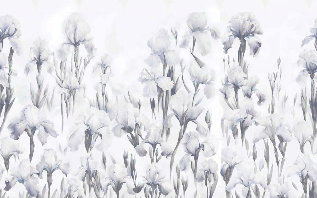 Iris dansent gris sans couture