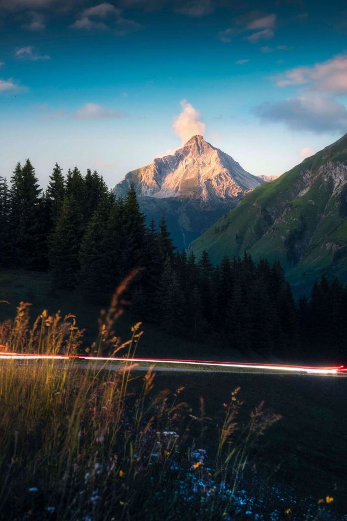 Lumière du soir sur le sommet alpin avec champ de fleurs