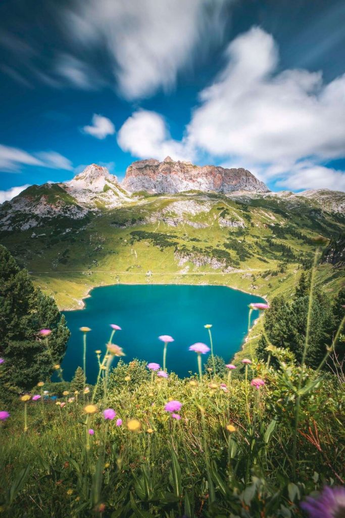 Pré fleuri au bord d'un lac de montagne clair