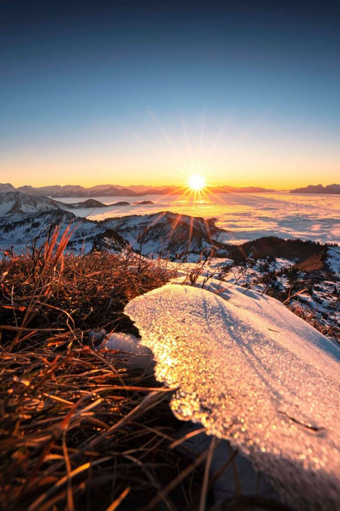 Le soleil du matin sur la prairie de montagne scintillante