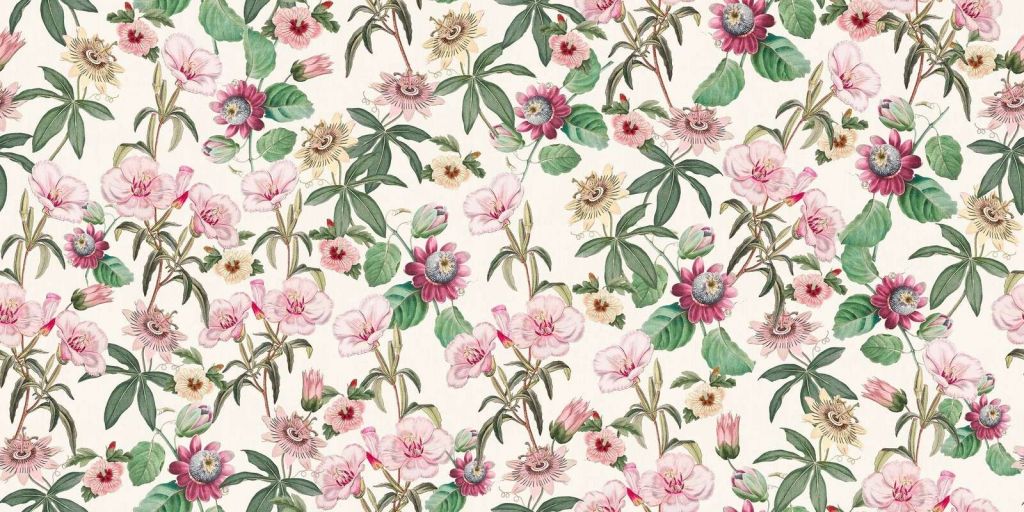 Fleurs de la passion romantiques en crème