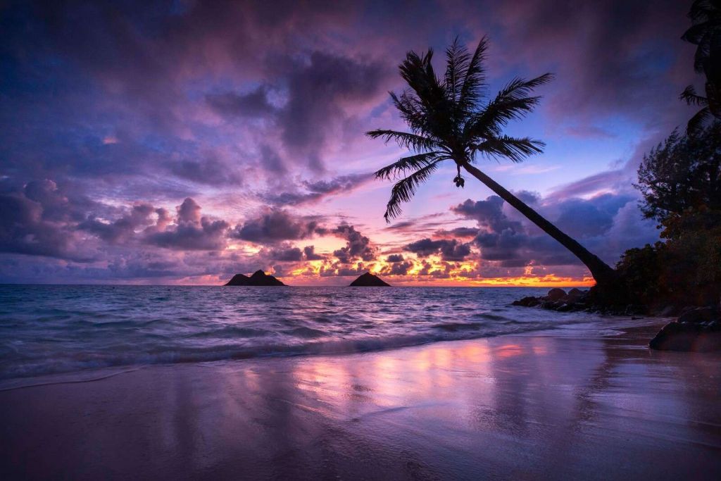 Côte tropicale au coucher du soleil violet