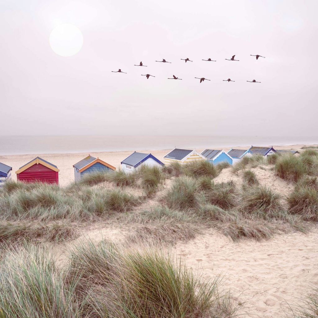 Les cabanes de plage sur le rivage sablonneux.