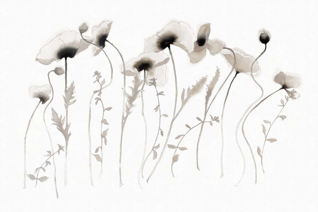 Coquelicots dans le silence gris de l'encre