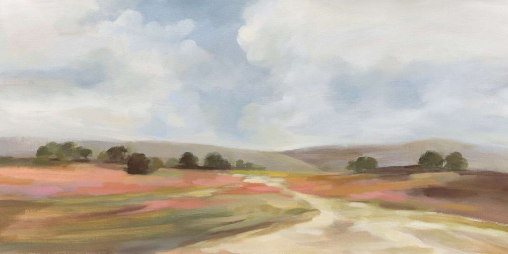 Bruyère estivale sous un ciel nuageux