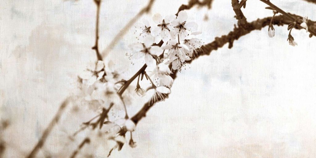 Brindille en douce silence