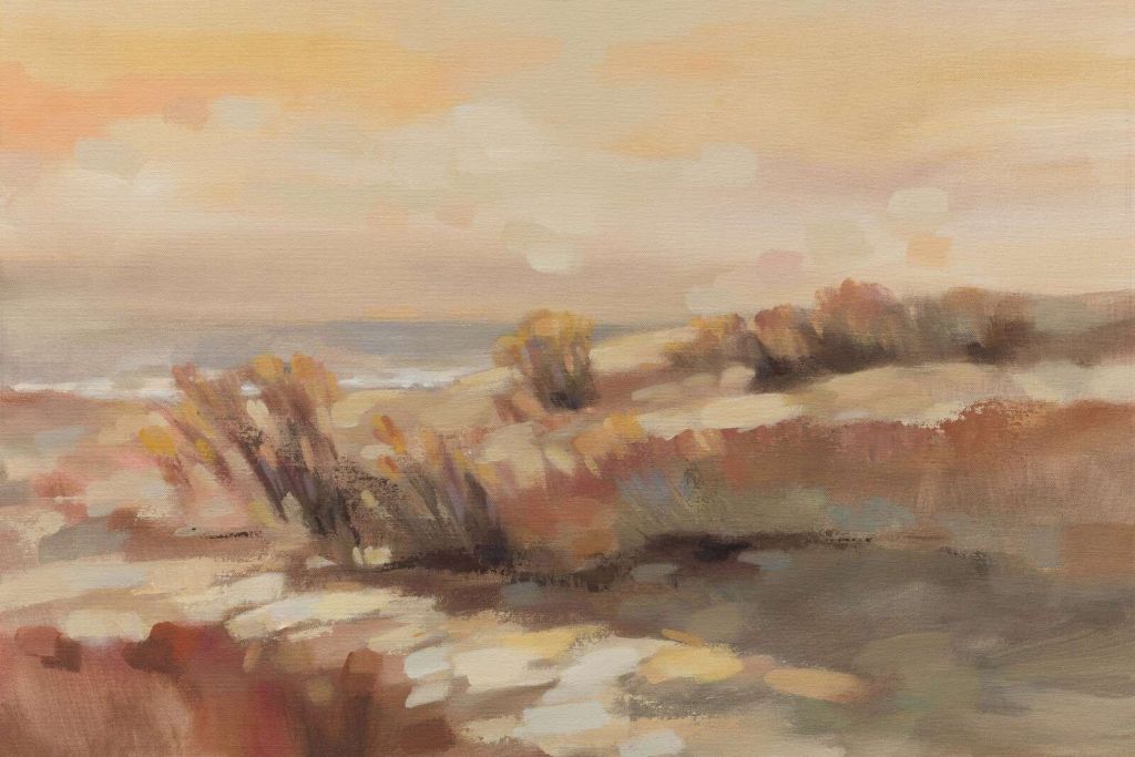 Dunes chaudes dans la lumière du soir