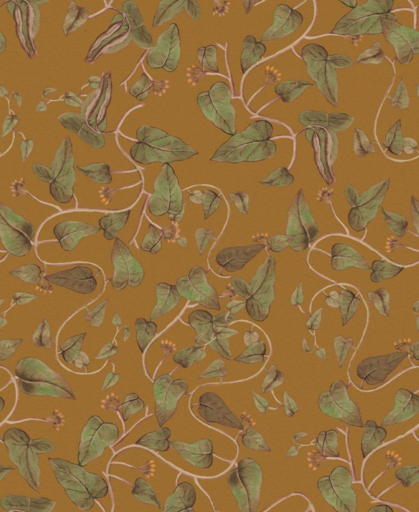 Vignes de haricots grimpants sur jaune ocre