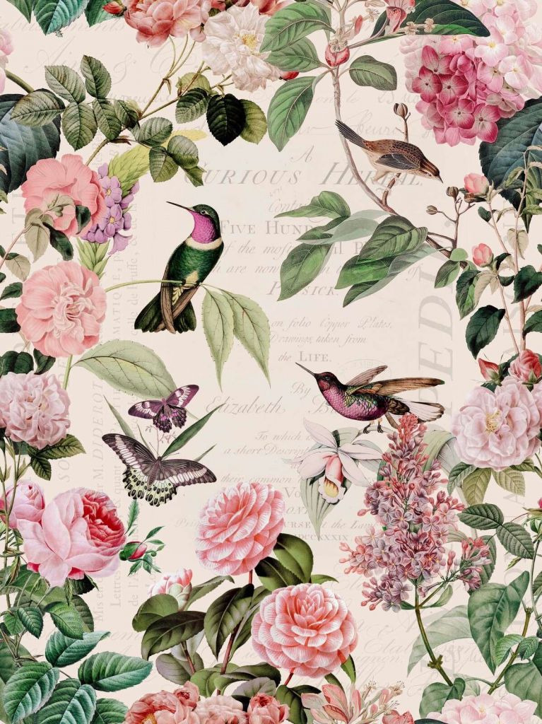 Colibris et roses