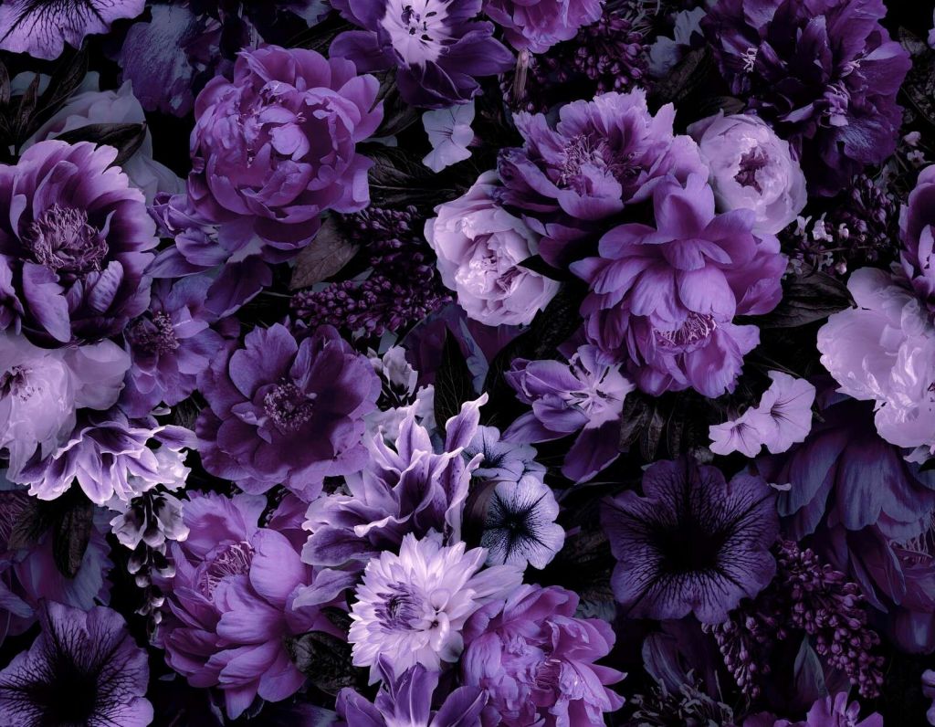 opulence baroque florale riche violet